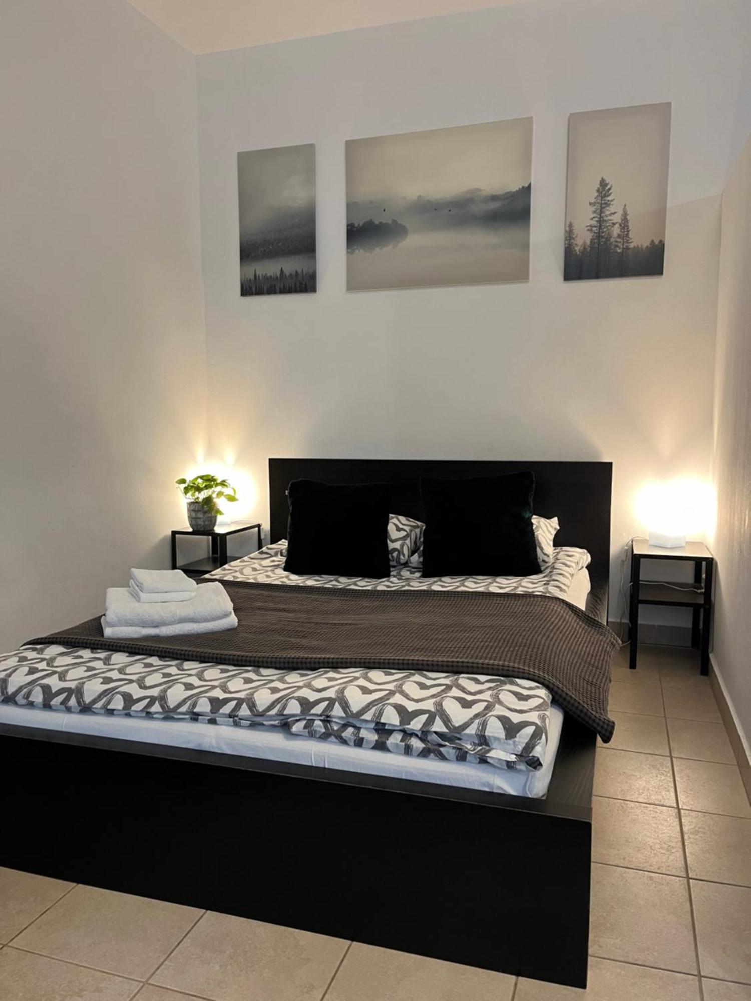 Downtown Rose Garden Apartments Whit Garage Opcional Budapest Esterno foto